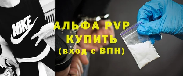 гашик Богданович
