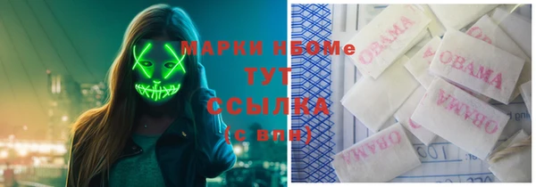 гашик Богданович