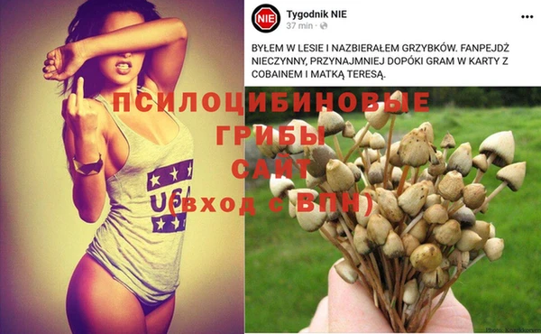 гашик Богданович