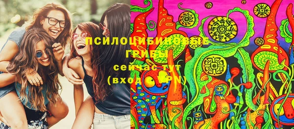 гашик Богданович