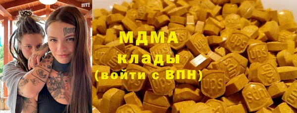 гашик Богданович