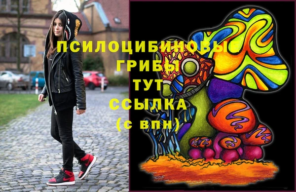 прущие крисы Богородск