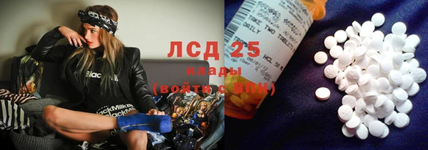 гашик Богданович
