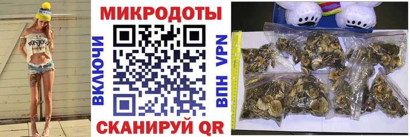 Галлюциногенные грибы MAGIC MUSHROOMS  маркетплейс официальный сайт  Кинешма  наркота 